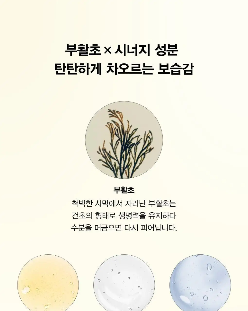 [매끈결] 아비브 부활초 파하 토너 스킨부스터 200ml 상세페이지 13